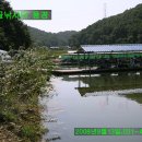 왕골낚시터 이미지