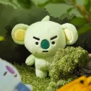 코야 이미지
