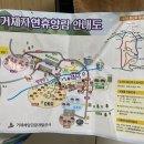 거제자연휴양림 이미지