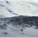 올래펜션민박 이미지