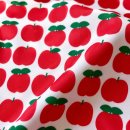 토스티(Toasty) | 토스트샌드 Apple Core Swimsuit / 토스트샌드 Toasty apple swimcap 토스티애플 수모 리뷰 🍎