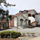 안면도발리 이미지