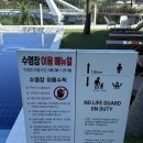 메르베르스파애견펜션B | 여수 애견동반 풀빌라 시로리조트&amp;풀빌라 B102동 내돈내산 후기