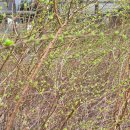 (주)풀과나무 이미지