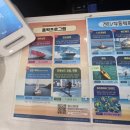 광안리 제트보트 [광안리해양레포츠센터] 방문 후기
