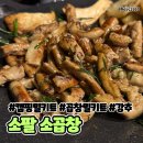 안성천 | 안성천 벚꽃길 만개 현황 &amp; 인생 곱창 “소팔 소곱창”, 스지전골 캠핑 밀키트 후기