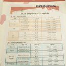 달서메이플베어