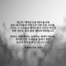 선인I 이미지