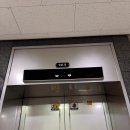 샤리스시 | 오마카세 스시소라 광화문 평일 런치 솔직 후기 (주차, 예약, 샤리 특징 총정리)