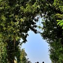 현일초등학교 이미지