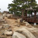 광천정기시장 이미지