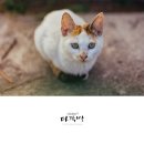 도리1길 이미지