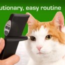 다올동물병원 이미지