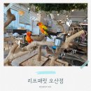 오산시 실버케어센터 | 오산 이색카페 추천! 앵무새와 놀 수 있는 리프패럿 오산점 후기