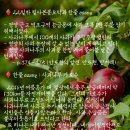 사과나무(주) 이미지