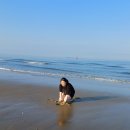 백사장진미각 | 태안 여행 국립공원 스탬프 투어 안면도 꽃지해수욕장 낙조.. 2024년 8월 3일 토요일