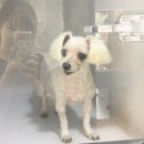 우장산동물의료센터 이미지