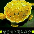 짱이 이미지