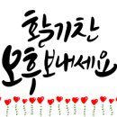 피노키오 복싱 이미지