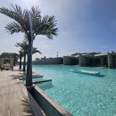 엘리스테이보령 이미지