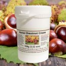 마로니에 이미지