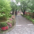 나에개로 이미지