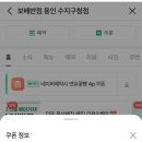 보배반점용인 이미지