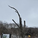 소백산 비로봉(천동~어의곡) 이미지