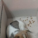 반곡길 이미지