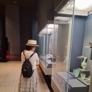 25.8월26일 (화),5시.국립중앙 박물관 거울못 베롱꽃 야간걷기ㅡ지윤 이미지