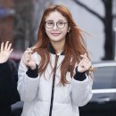 소나무안경 이미지