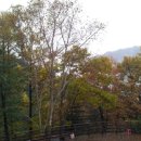 에덴시아 이미지