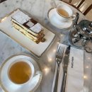 파리미키 이미지