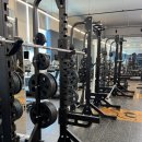 디벨롭짐 이미지