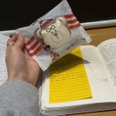 한국외국어대학교 TESOL 대학원 | 사이버한국외국어대학교TESOL 대학원 면접 후기(준비과정, 면접 문제, 솔직후기)