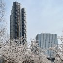 동탄역광비콤오래오래공인중개사사무소 | 힐스테이트 동탄역 센트릭 전세 여울공원 조망 오피스텔 단 1세대!