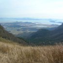 동백바다 이미지