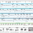 5월부터 낚시인 등 일반인도 &#39;삼치·감성돔·주꾸미&#39; 잡으면 과태료 80만원 이미지