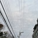 2023년 5회차 부산 대한적십자 라이프가드 (인명구조요원) 신규과정 도전기 2일차(11.05)