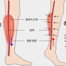 희룸 이미지