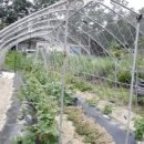 여주-0718 Daum카페