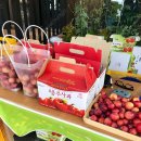 능금농장 이미지