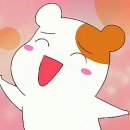 쭈꾸미네 이미지