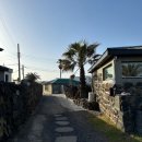 돌채 | [ 제주 ] 우도 돌채펜션 room B ( feat. 내 돈 내산 )