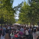 강동중고길 이미지