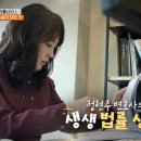 법률사무소도리 이미지