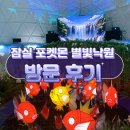 별빛소랑 | 잠실 롯데월드몰 포켓몬 별빛낙원 위치 잉어킹 프로모 카드 받는 법 무릉도원 웨이팅 후기