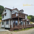 장미와 김목수 이미지