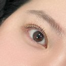 [관악 속눈썹펌] 블링블링 연예인 속눈썹✨️ 낙성대역 속눈썹펌 전문 펄즈데뷰티 후기