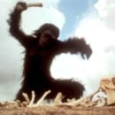THE FILM